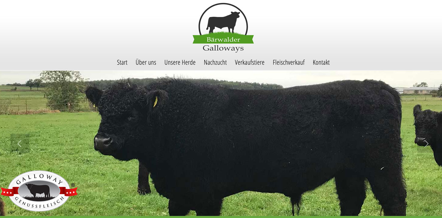 Referenz Bärwalder Galloways Referenz Bärwalder Galloways